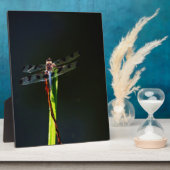 Plaque Photo Dragonfly bleu et noir sur gazon vert et rouge (Côté)