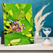 Plaque Photo Dragonfly de couleur arc-en-ciel sur une fleur ros (Côté)