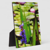 Plaque Photo Dragonfly lotus and purple flower (Côté)