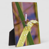 Plaque Photo Dragonfly sur la feuille de pluie (Côté)
