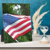 Plaque Photo Drapeau américain (Côté)