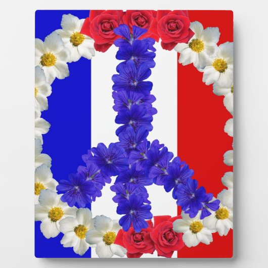 Plaque Photo drapeau français (Devant)