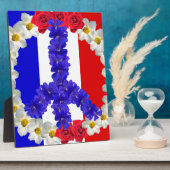 Plaque Photo drapeau français (Côté)
