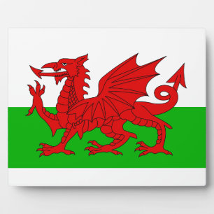 Plaque Photo Drapeau Gallois / Pays de Galles - Cymru haute qua