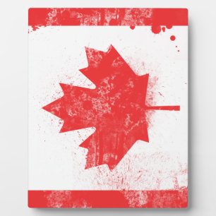 Plaque Photo Drapeau peint au Canada
