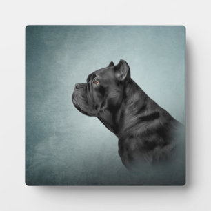 Plaque Photo Drawing dog Cane Corso