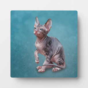 Plaque Photo Drawing Sphynx kitten