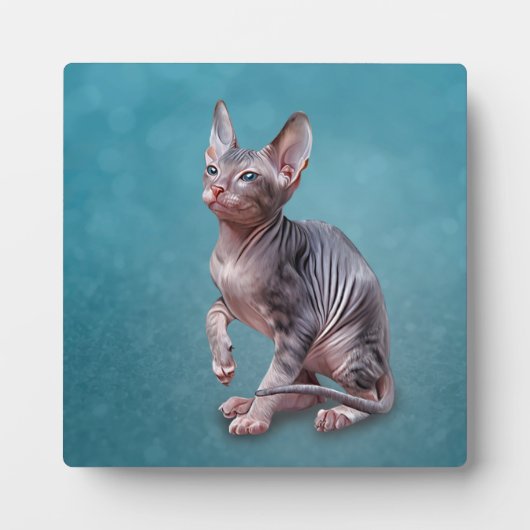 Plaque Photo Drawing Sphynx kitten (Devant)