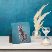 Plaque Photo Drawing Sphynx kitten (Insitu)