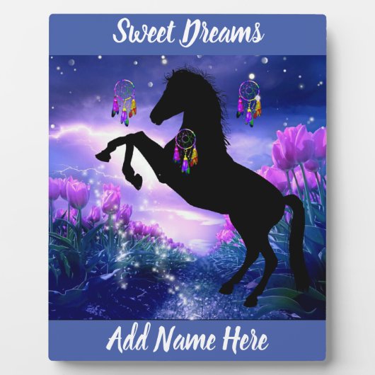 Plaque Photo Dreamcatcher (Devant)