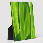 Plaque Photo Drei grüne Maisblätter (Côté)