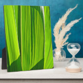 Plaque Photo Drei grüne Maisblätter (Côté)