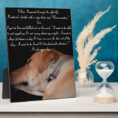 Plaque Photo Drôle humoristique Laveuse Labrador (Côté)