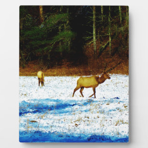 PLAQUE PHOTO DSC00131.JPG