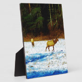 PLAQUE PHOTO DSC00131.JPG (Côté)