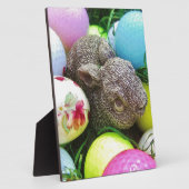 PLAQUE PHOTO DSCF0438.JPG (Côté)