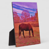 PLAQUE PHOTO DSCF0536.JPG (Côté)