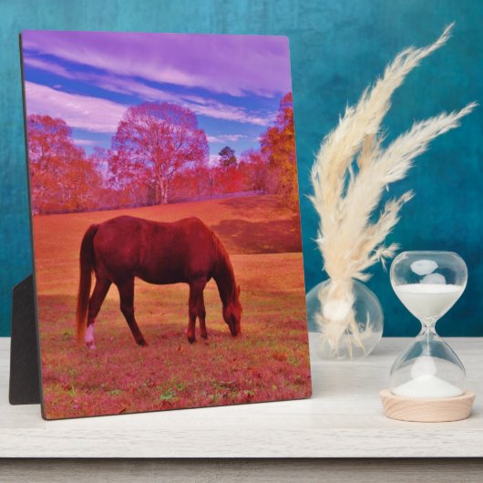 PLAQUE PHOTO DSCF0536.JPG (Côté)