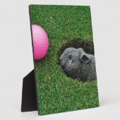 PLAQUE PHOTO DSCF0652.JPG (Côté)