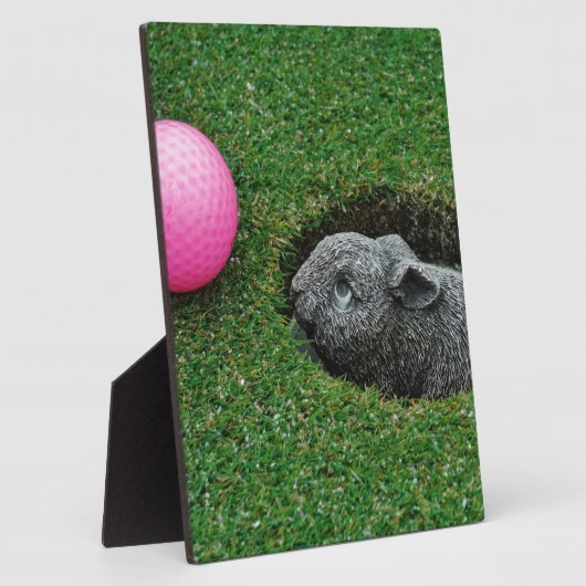 PLAQUE PHOTO DSCF0652.JPG (Côté)