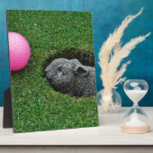 PLAQUE PHOTO DSCF0652.JPG (Côté)