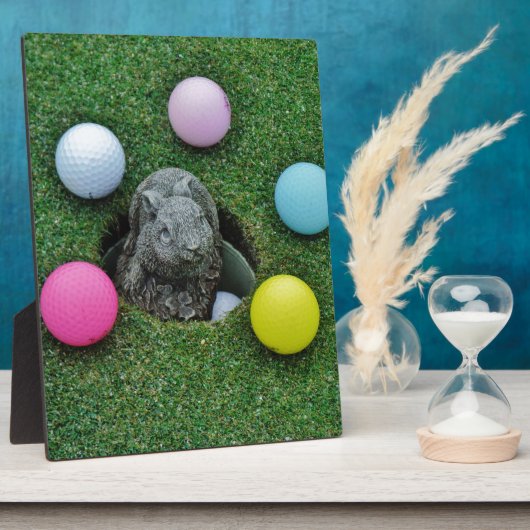 PLAQUE PHOTO DSCF0698.JPG (Côté)