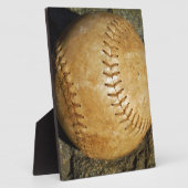 PLAQUE PHOTO DSCF7523.JPG (Côté)