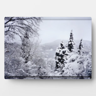 Plaque photo du lac Nojiri