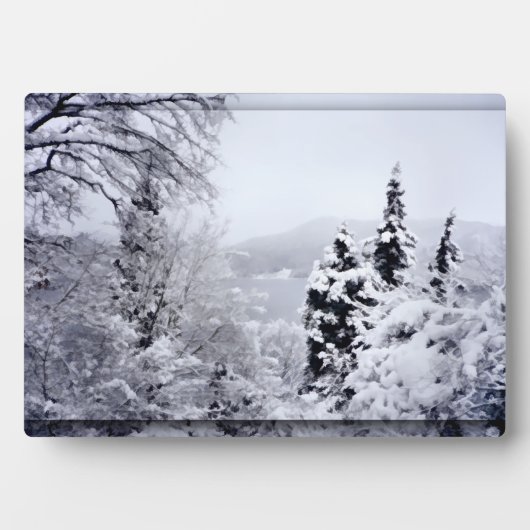 Plaque photo du lac Nojiri (Devant)