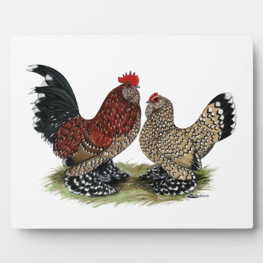 Plaque Photo D'Uccle Bantams:  Mille Fleur (Devant)