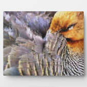 PLAQUE PHOTO DUCK DE SOMMEIL (Devant)