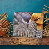 PLAQUE PHOTO DUCK DE SOMMEIL (Côté)