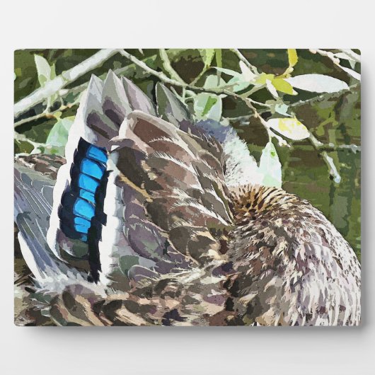 PLAQUE PHOTO DUCK FEATHERS (Devant)