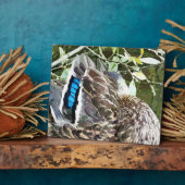 PLAQUE PHOTO DUCK FEATHERS (Côté)