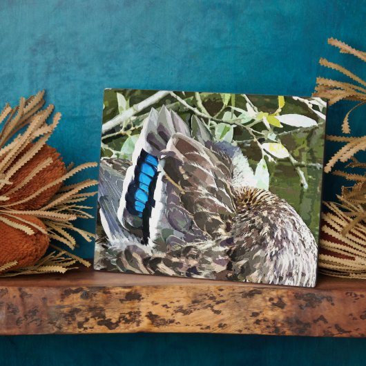 PLAQUE PHOTO DUCK FEATHERS (Côté)