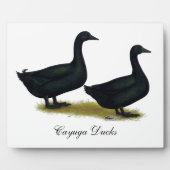 Plaque Photo Ducks: Black Cayugas (Devant)