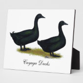 Plaque Photo Ducks: Black Cayugas (Côté)