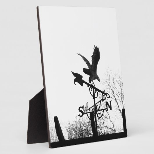 Plaque Photo Eagle and Arrow (Côté)