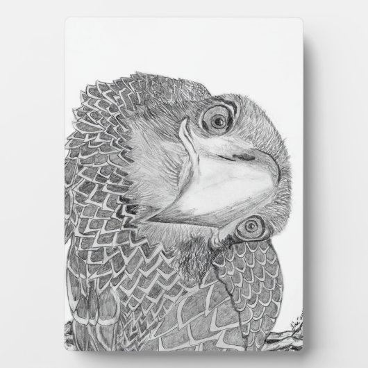 PLAQUE PHOTO EAGLES HARRIET + M ACCUEIL ARBRE FAMILIAL E9 SOARS (Devant)