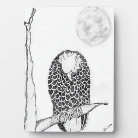 Plaque Photo EAGLES HARRIET OZZIE M15 Es ACCUEIL NOTRE ARBRE FA (Devant)