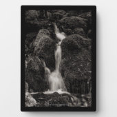 Plaque Photo Eau sur la mousse (Devant)