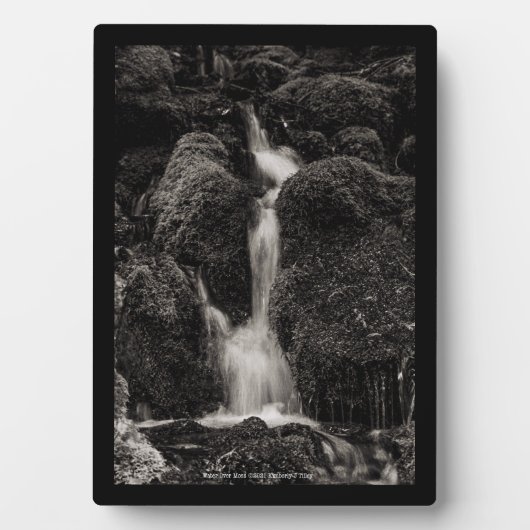 Plaque Photo Eau sur la mousse (Devant)