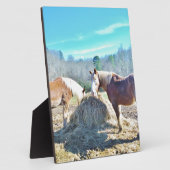Plaque Photo Ébauche secourue Chevaux mangeant foin (Côté)