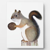 Plaque Photo Écureuil (Devant)