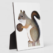 Plaque Photo Écureuil (Côté)