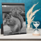 Plaque Photo Écureuil (Côté)