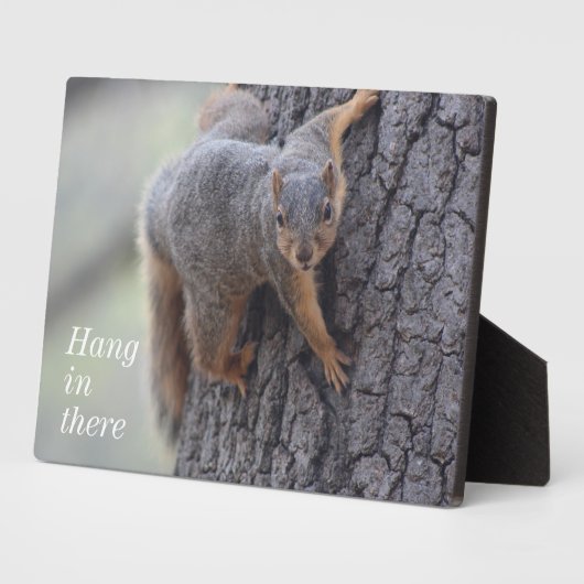Plaque Photo Écureuil (Côté)