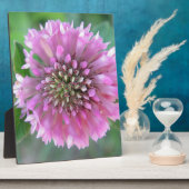 Plaque Photo Einzigartige rosa Blüte (Côté)