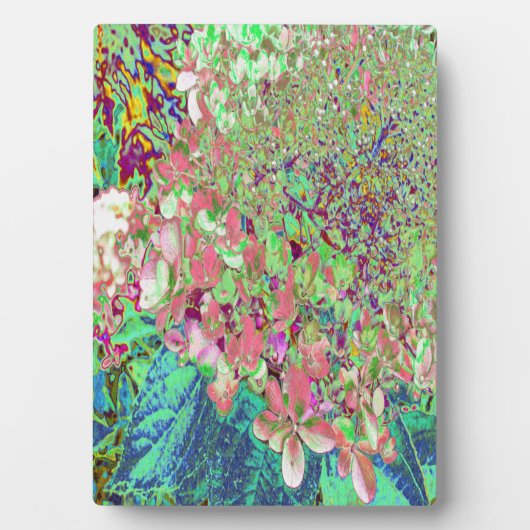 Plaque Photo Élégant Corail et Chartreuse Limelight Hydrangea (Devant)