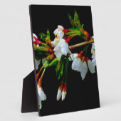 Plaque Photo Élégant noir blanc fleuri blanc Blossom (Côté)